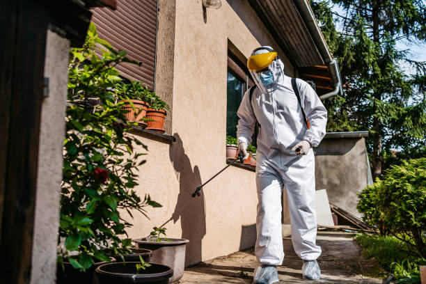 Best Spider Control Near Me  in Montclair, VA