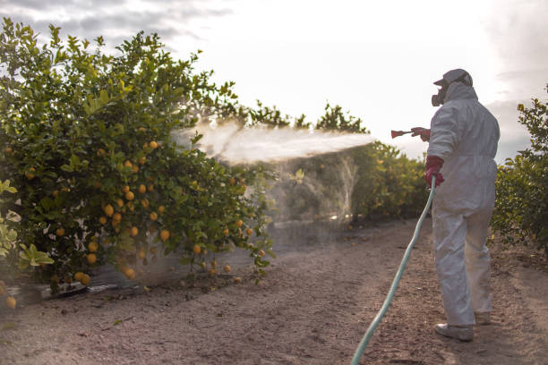 Best Pest Control for Homes  in Montclair, VA