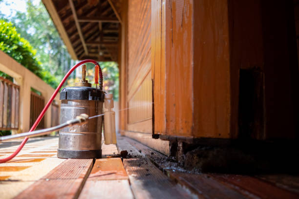 Best Local Pest Control Services  in Montclair, VA