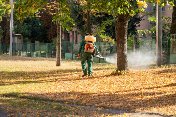 Best Commercial Pest Control Services  in Montclair, VA