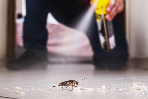 Best Wildlife Control Services  in Montclair, VA
