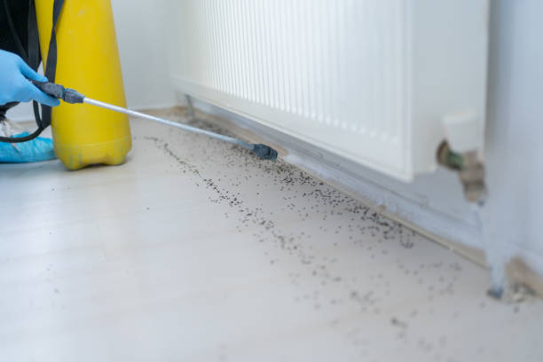 Best Bed Bug Extermination  in Montclair, VA