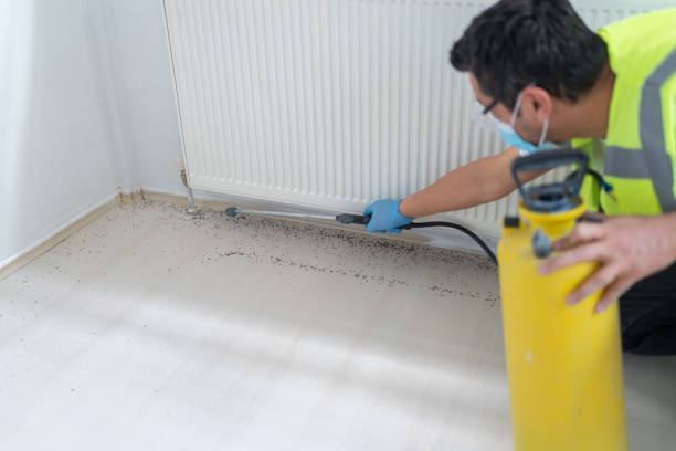 Best Flea Control Services  in Montclair, VA