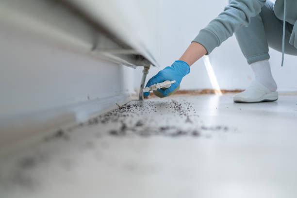 Best Pest Control Treatment  in Montclair, VA